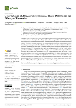 Growth Stage of Alopecurus Myosuroides Huds. Determines the Efﬁcacy of Pinoxaden