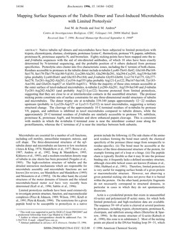 Mapping Surface Sequences of the Tubulin Dimer and Taxol-Induced Microtubules with Limited Proteolysis† Jose´ M