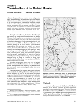 The Asian Race of the Marbled Murrelet