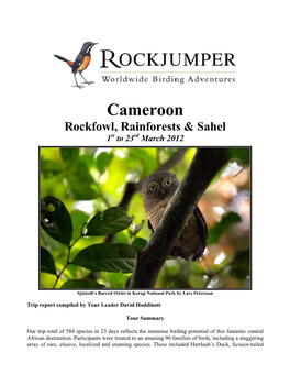 Cameroon Rockfowl, Rainforests & Sahel 1St to 23Rd March 2012