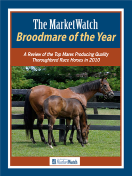 The Marketwatch Broodmare of the Year