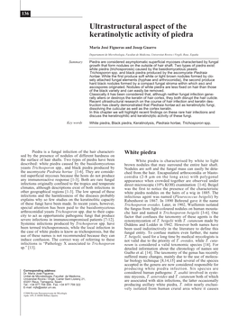 Ultrastructural Aspect of Keratinolytic Activity of Piedra