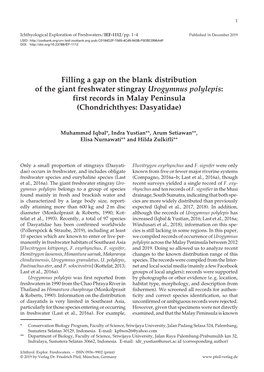 Filling a Gap on the Blank Distribution of the Giant Freshwater Stingray Urogymnus Polylepis: First Records in Malay Peninsula (Chondrichthyes: Dasyatidae)