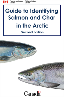 Guide to Identifying Salmon and Char in the Arctic