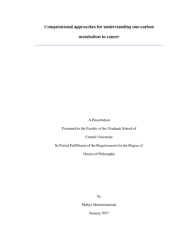 Computational Approaches for Understanding One-Carbon