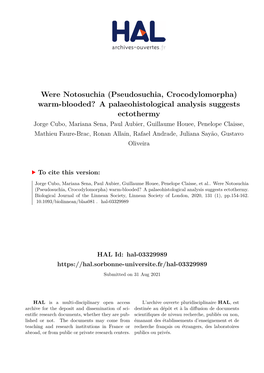 Were Notosuchia (Pseudosuchia, Crocodylomorpha) Warm-Blooded?