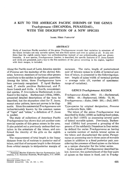 A KEY to the AMERICAN PACIFIC SHRIMPS of the GENUS Trachypenaeus (DECAPODA, PENAEIDAE), with the DESCRIPTION of a NEW SPECIES