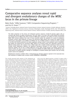 Comparative Sequence Analyses Reveal Rapid and Divergent Evolutionary Changes of the WFDC Locus in the Primate Lineage