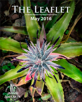 May 2016 the Leaflet the Monthly Magazine of the Vallarta Botanical Garden Puerto Vallarta, Jalisco, México May 2016 Vol