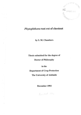 Phytophthora Root Rot of Chestnut