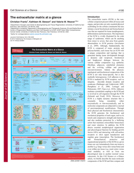 The Extracellular Matrix at a Glance Introduction the Extracellular Matrix (ECM) Is the Non- Christian Frantz1, Kathleen M