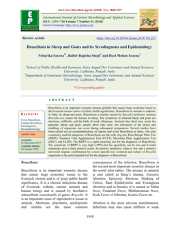 Brucellosis in Sheep and Goats and Its Serodiagnosis and Epidemiology