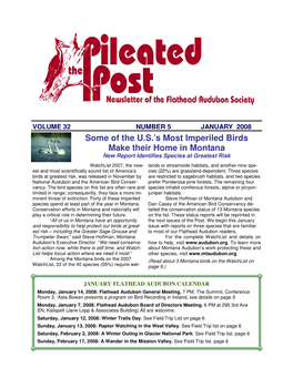 January 2008 Newsletter