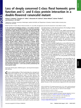 Loss of Deeply Conserved C-Class Floral Homeotic Gene Function and C