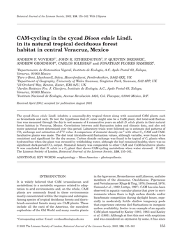 CAM-Cycling in the Cycad Dioon Edule Lindl. in Its Natural Tropical Deciduous Forest Habitat in Central Veracruz, Mexico