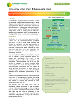 Biomass to Liquid