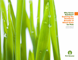 Why Green Nutrition? Exploring the Nutritional Benefits of Wheat Grass