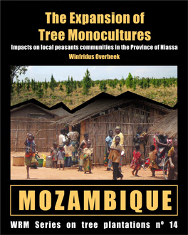 The Expansion of Tree Monocultures in Mozambique