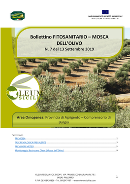 Bollettino FITOSANITARIO – MOSCA DELL’OLIVO N