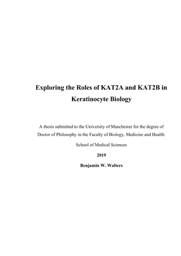 Exploring the Roles of KAT2A and KAT2B in Keratinocyte Biology