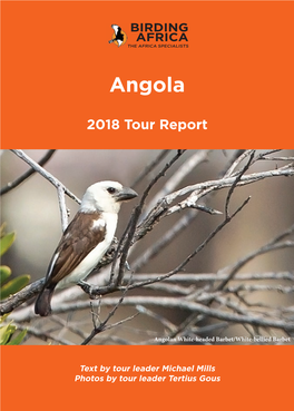 Angola Endemics