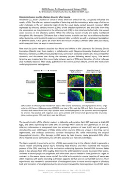 RIKEN Center for Developmental Biology (CDB) 2-2-3 Minatojima Minamimachi, Chuo-Ku, Kobe 650-0047, Japan