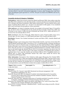 Mini Data Sheet on Carpophilus Davidsoni