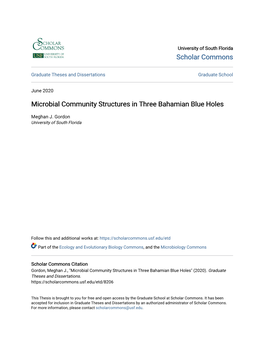 Microbial Community Structures in Three Bahamian Blue Holes