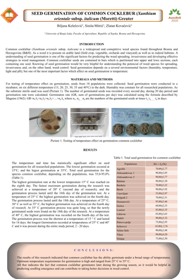 SEED GERMINATION of COMMON COCKLEBUR (Xanthium Orientale Subsp