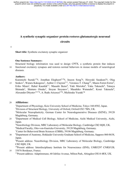 A Synthetic Synaptic Organizer Protein Restores Glutamatergic Neuronal Circuits