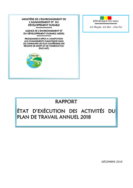 Rapport État D'exécution Des Activités Du Plan De Travail