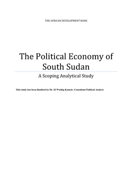 Perspectives on the Political Economy of South Sudan