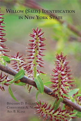 Willow (Salix) Identification in New York State