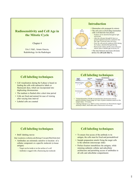 Radiosensitivity and Cell Age in the Mitotic Cycle