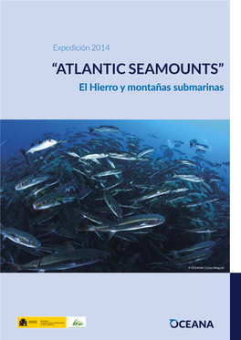 Expedición 2014 “ATLANTIC SEAMOUNTS” El Hierro Y Montañas Submarinas
