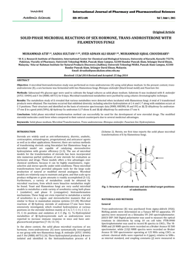 Solid Phase Microbial Reactions of Sex Hormone, Trans-Androsterone with Filamentous Fungi