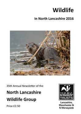 Wildlife in North Lancashire 2016