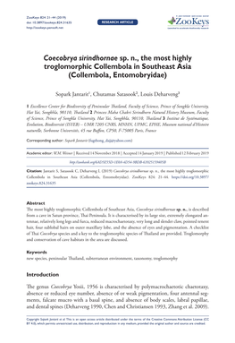 Coecobrya Sirindhornae Sp. N., the Most Highly Troglomorphic Collembola in Southeast Asia (Collembola, Entomobryidae)