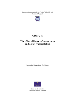 The Effect of Linear Infrastructures on Habitat Fragmentation