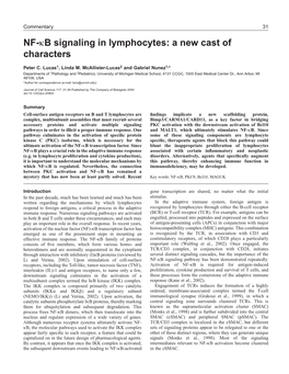NF-Κb Signaling in Lymphocytes: a New Cast of Characters