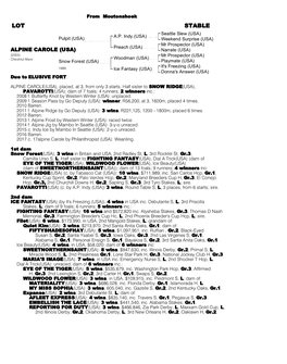 LOT STABLE Seattle Slew (USA) A.P