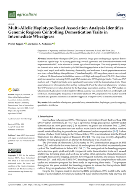 Multi-Allelic Haplotype-Based Association Analysis Identifies