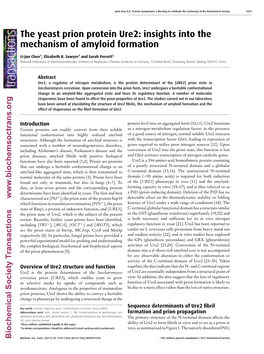 The Yeast Prion Protein Ure2: Insights Into the Mechanism of Amyloid Formation