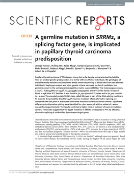 A Germline Mutation in SRRM2, a Splicing Factor Gene, Is Implicated In