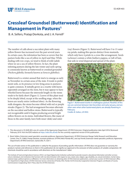 Cressleaf Groundsel (Butterweed) Identification and Management in Pastures1 B