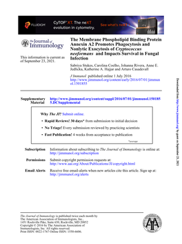 The Membrane Phospholipid Binding Protein Annexin A2 Promotes