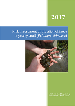 Risk Assessment of the Alien Chinese Mystery Snail (Bellamya Chinensis)