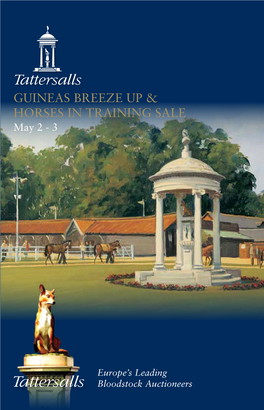 Guineas Breeze up & Horses in Training Sale