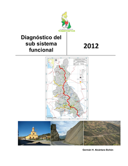 Diagnóstico Del Sub Sistema Funcional