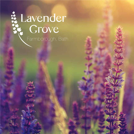 Lavender Grove Is a Marketing Name and It’S Time to Exchange Contracts; You Sign the the Day of Your Legal Completion